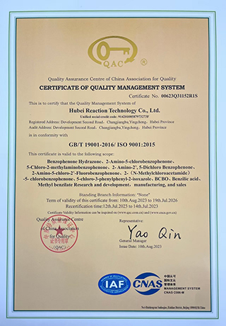 Hubei Reaction Technology Co., Ltd.