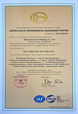 Hubei Reaction Technology Co., Ltd.