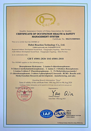 Hubei Reaction Technology Co., Ltd. 公司